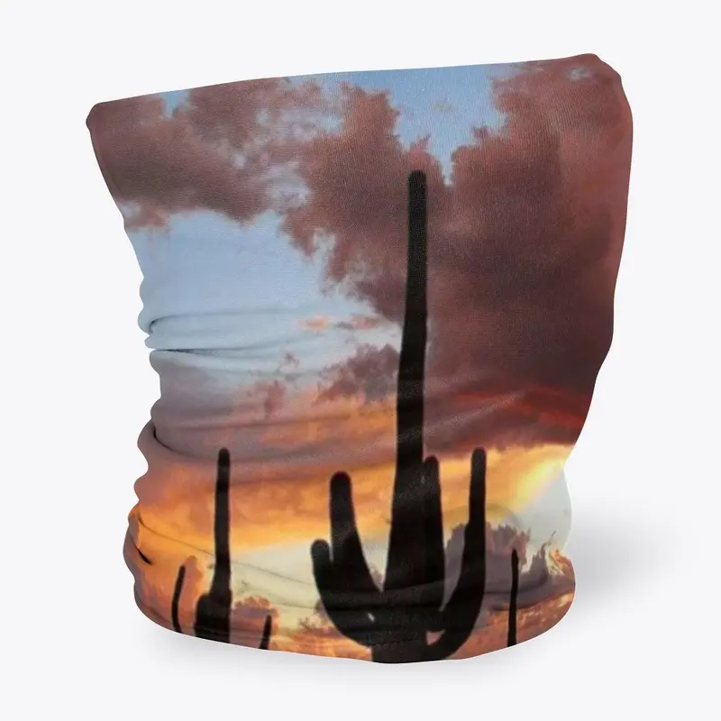 Saguaro Sunset